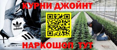 эйфоретик Будённовск