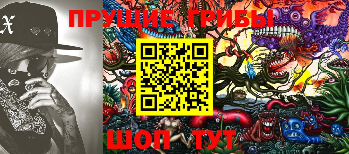 магазин продажи   Вход с VPN  Псилоцибиновые грибы ЛСД  Красноперекопск  Псилоцибиновые грибы мухоморы 
