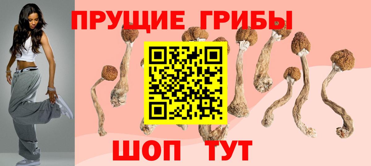Псилоцибиновые грибы Cubensis Красноперекопск